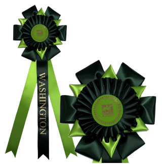 Washington Rosette