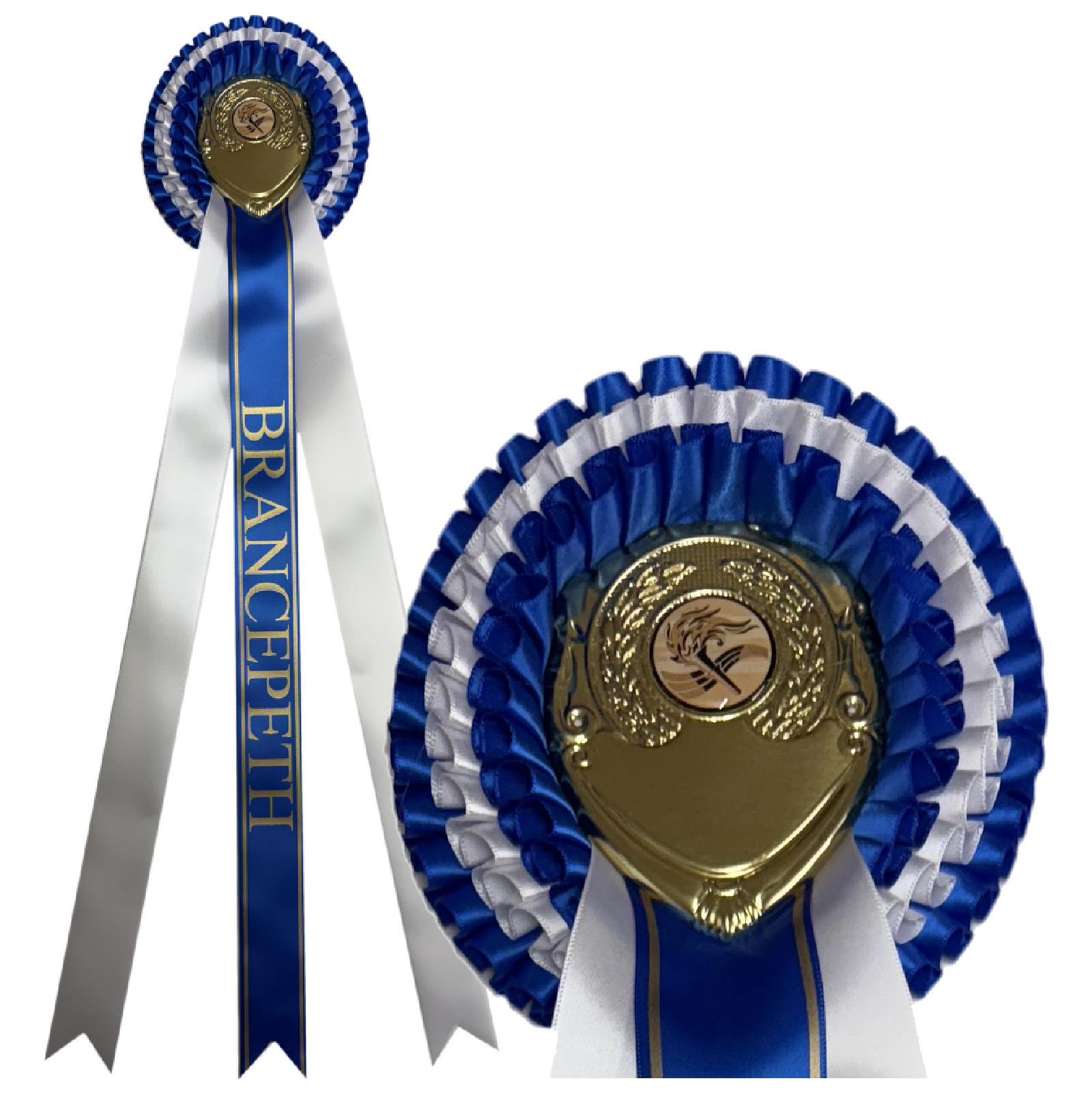 Brancepeth Rosette