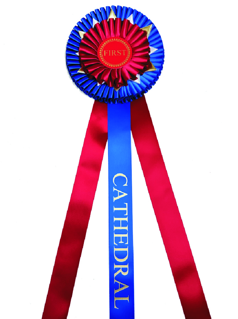 Cathedral Rosette - Image 2